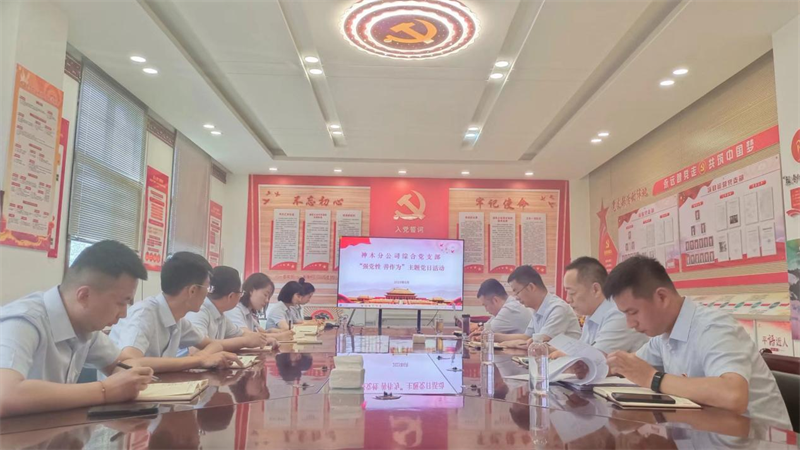 神木分公司綜合黨支部開展“強黨性，善作為”主題黨日活動.png